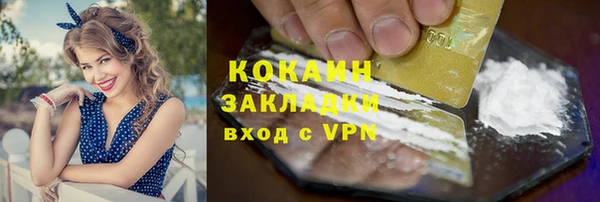 крисы Магас