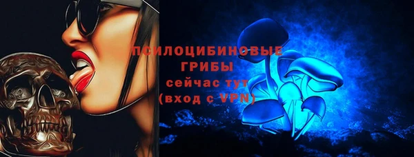 крисы Магас