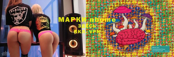 крисы Магас