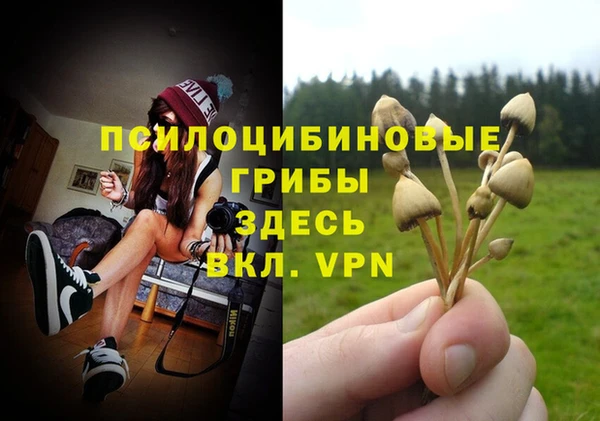 крисы Магас