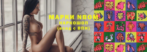 крисы Магас