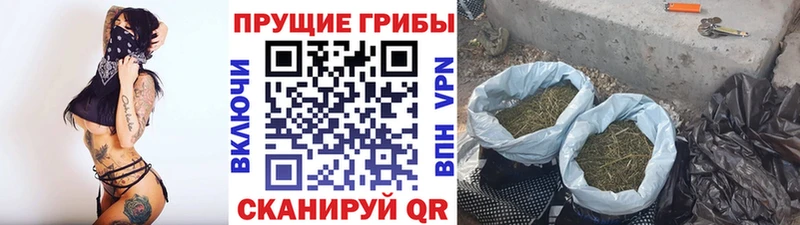 Купить  Заозёрный  Псилоцибиновые грибы ЛСД 